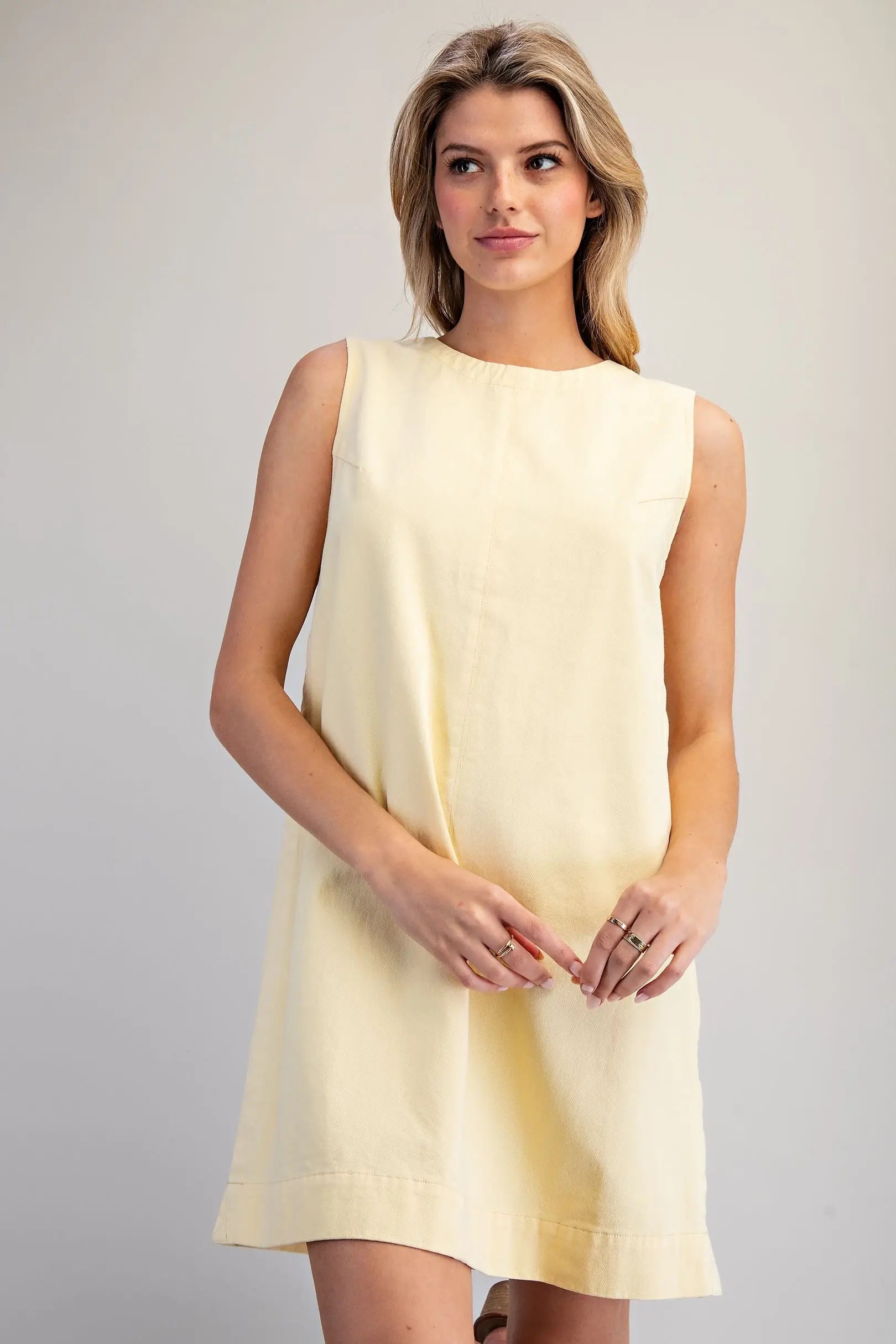 Sleeveless Back Zip Mini Dress