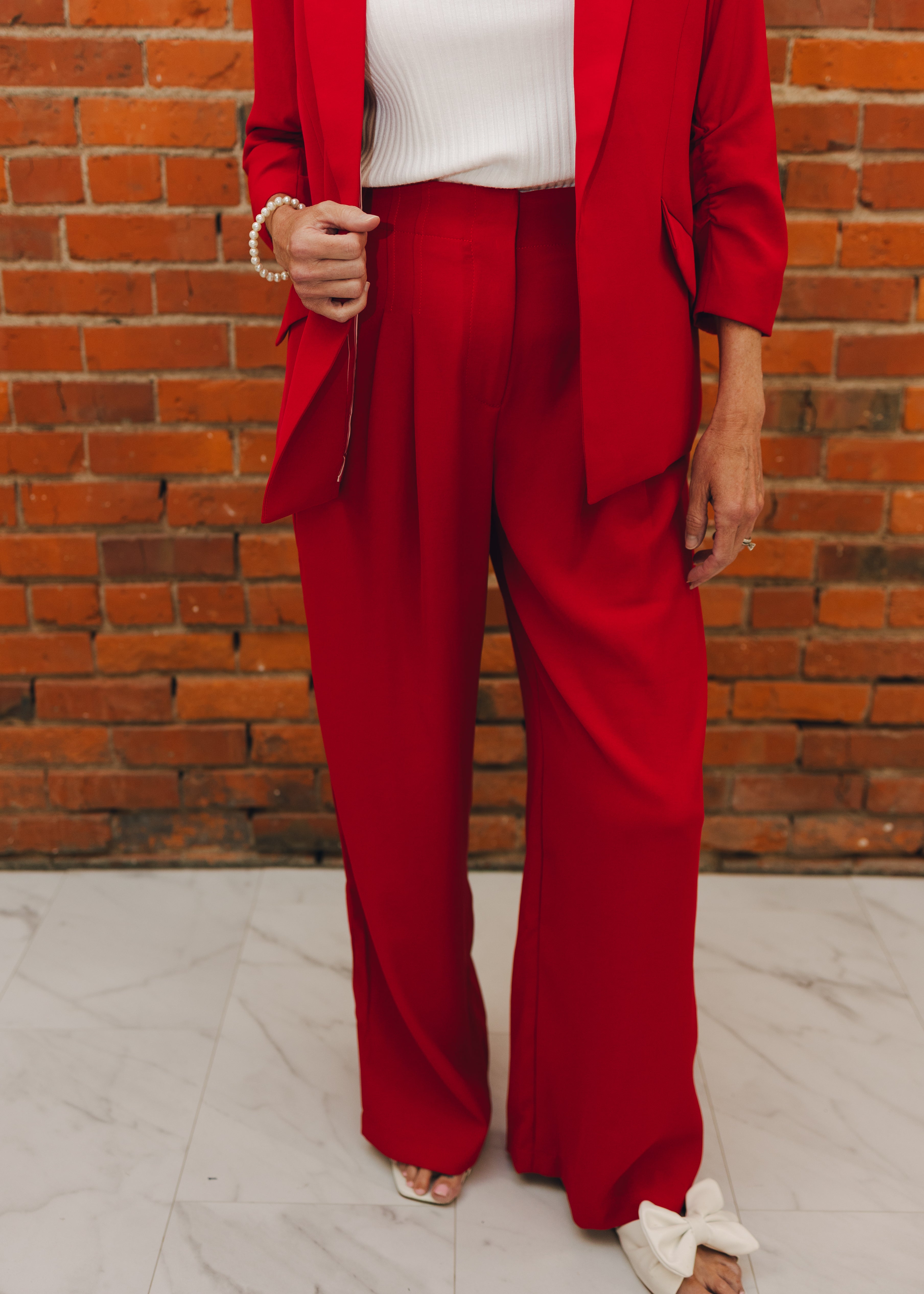 Pleated Wide Leg Dress Pants