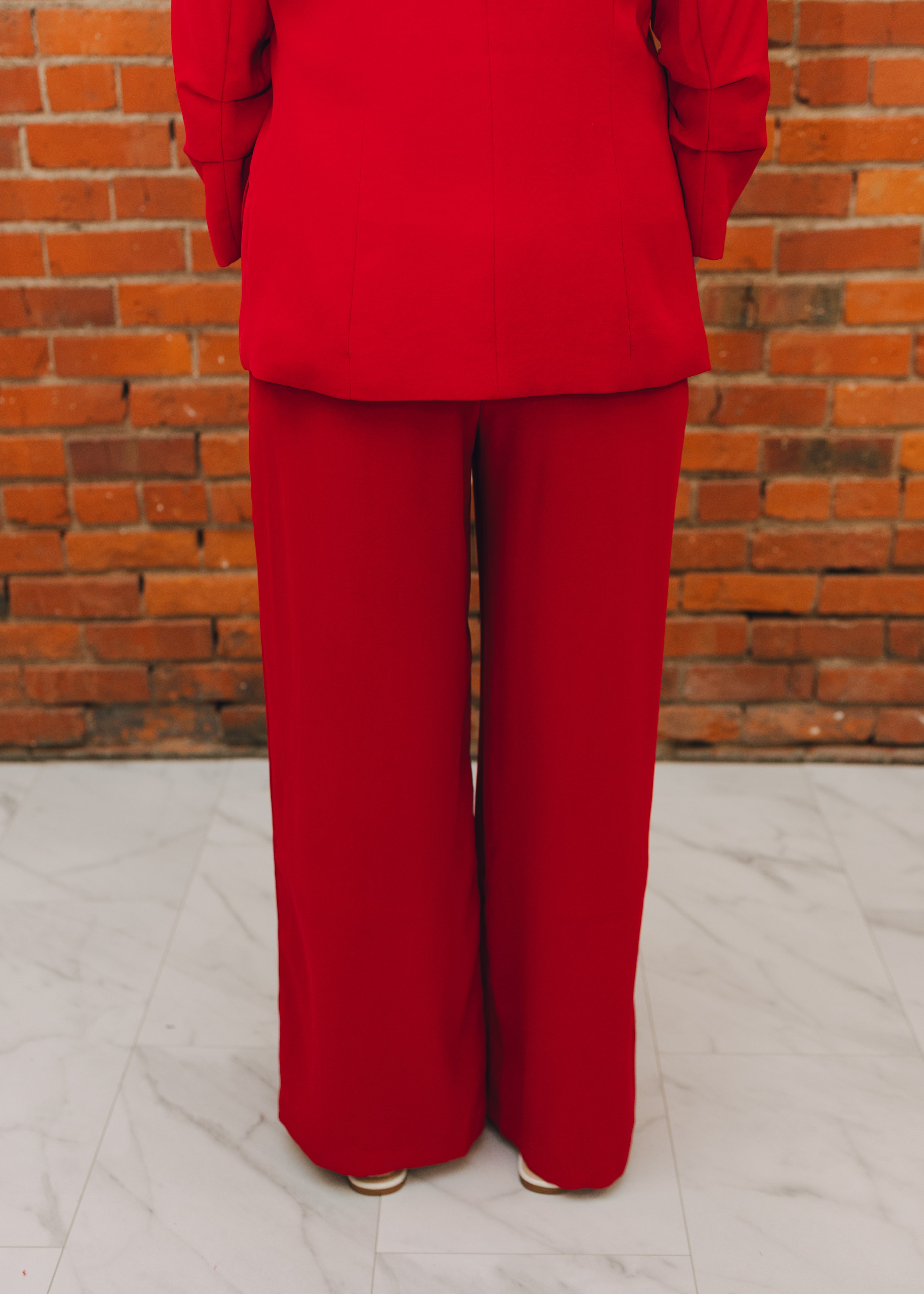 Pleated Wide Leg Dress Pants