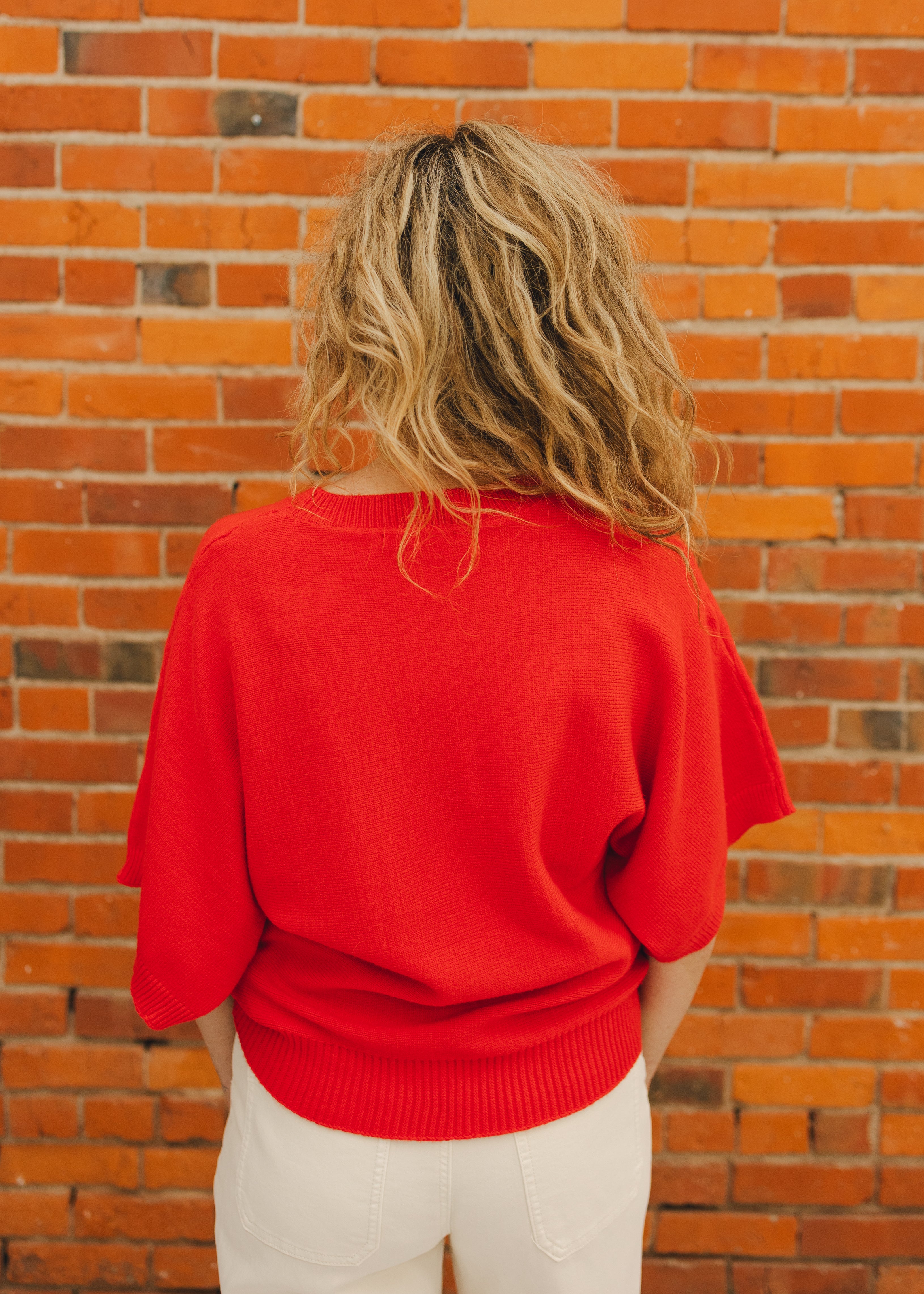 Crew Neck Solid Sweater