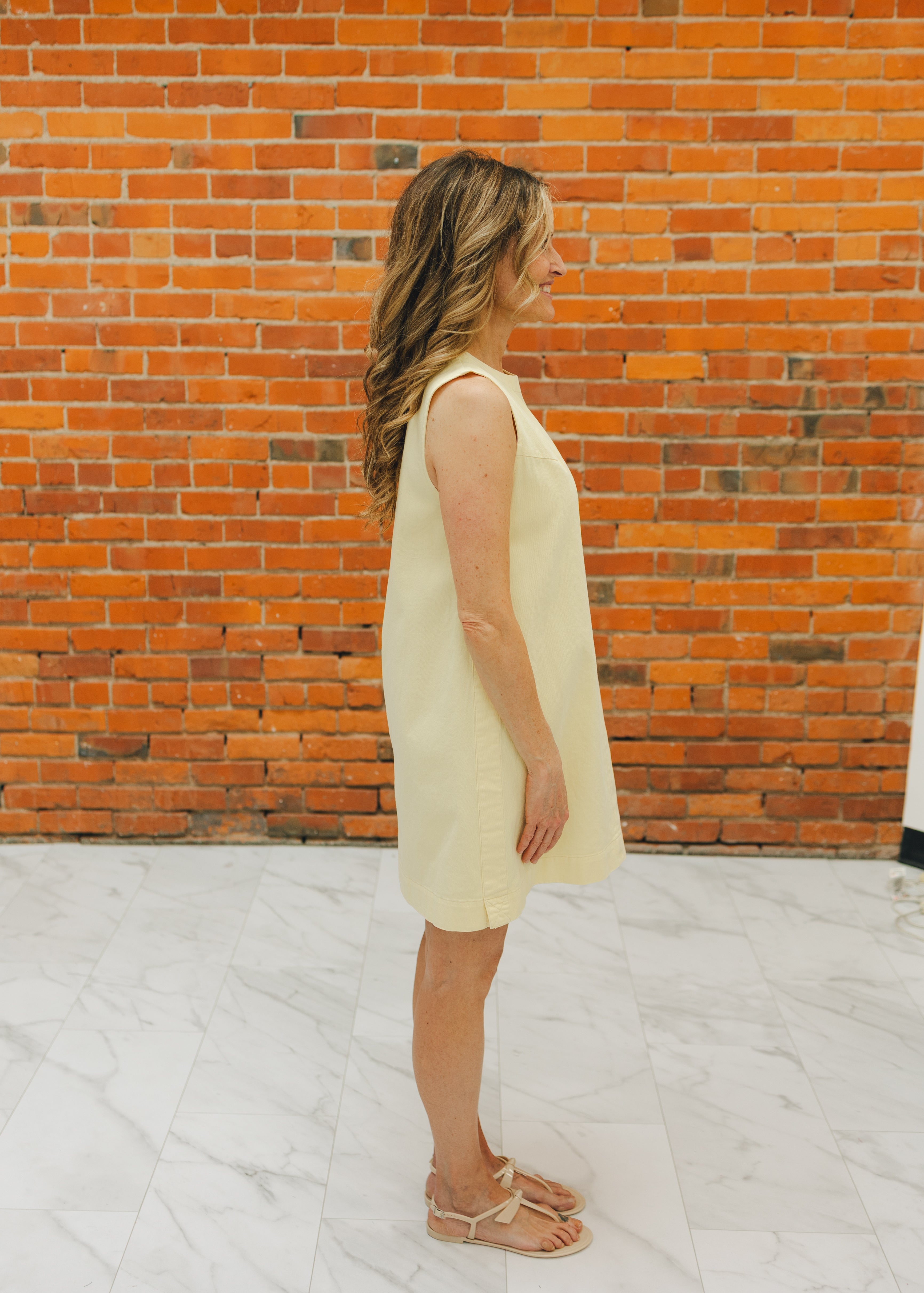 Sleeveless Back Zip Mini Dress