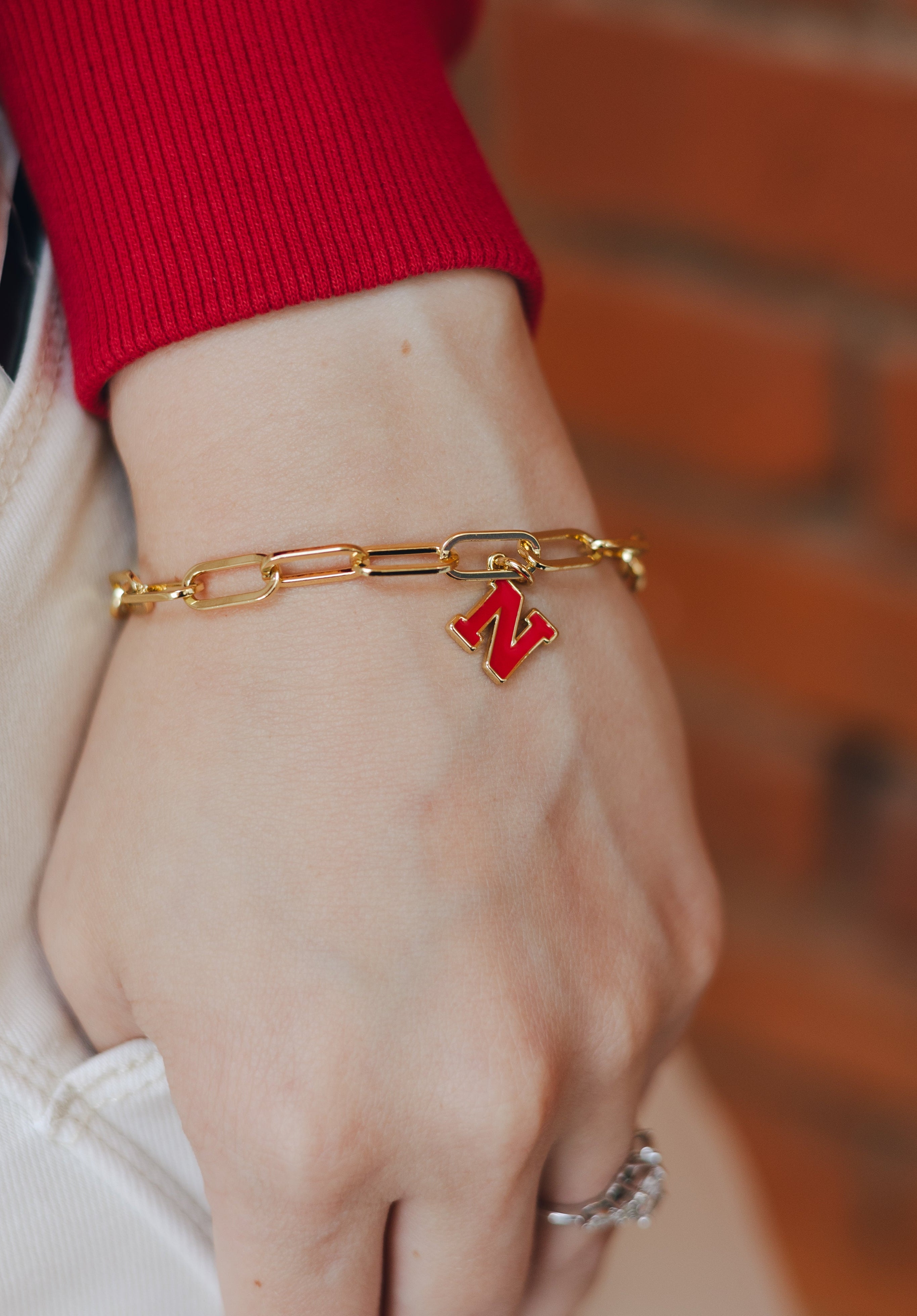 Nickel & Suede University of NE Charm Bracelet