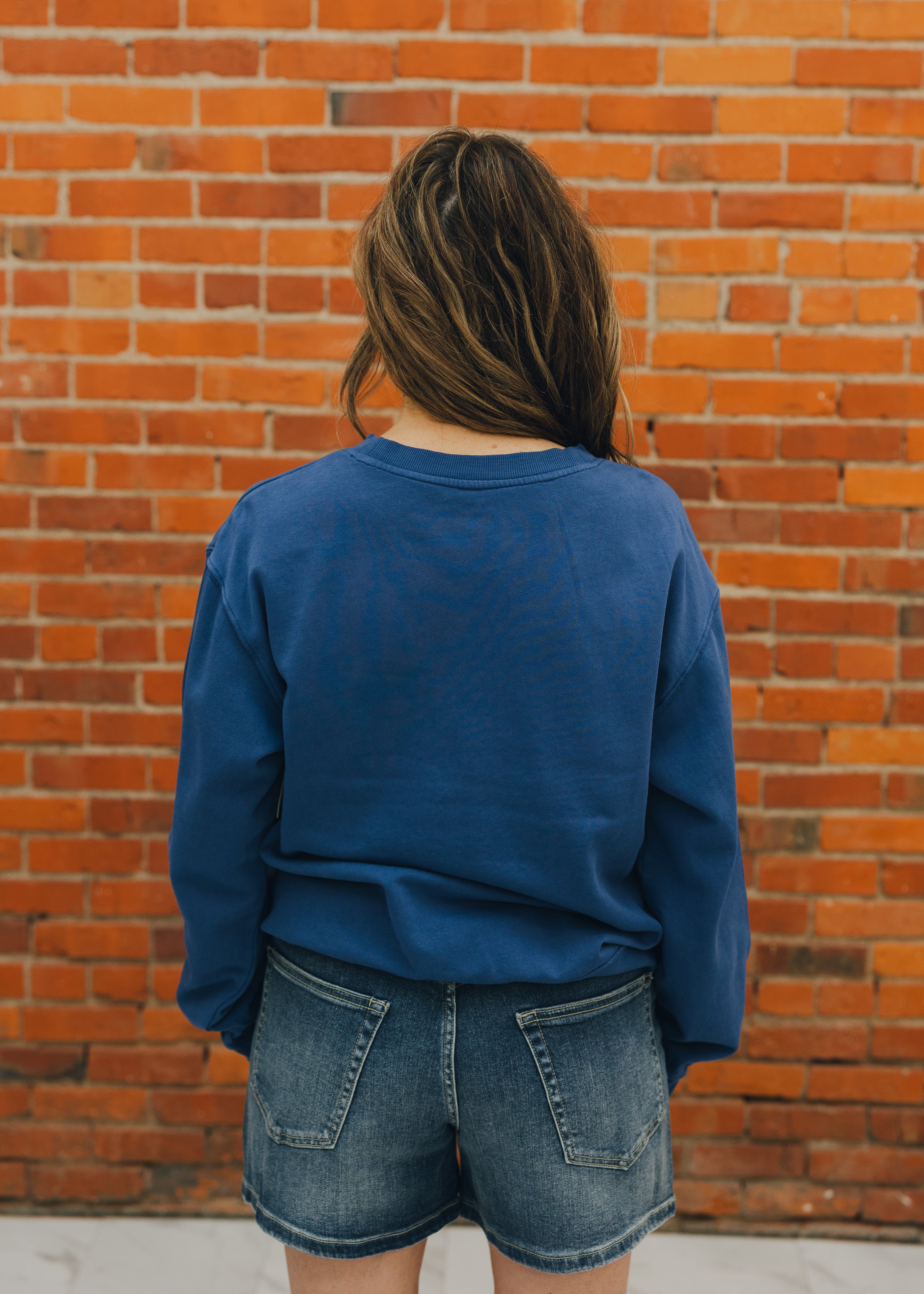 Z Supply Americana Boyfriend Sweatshirt