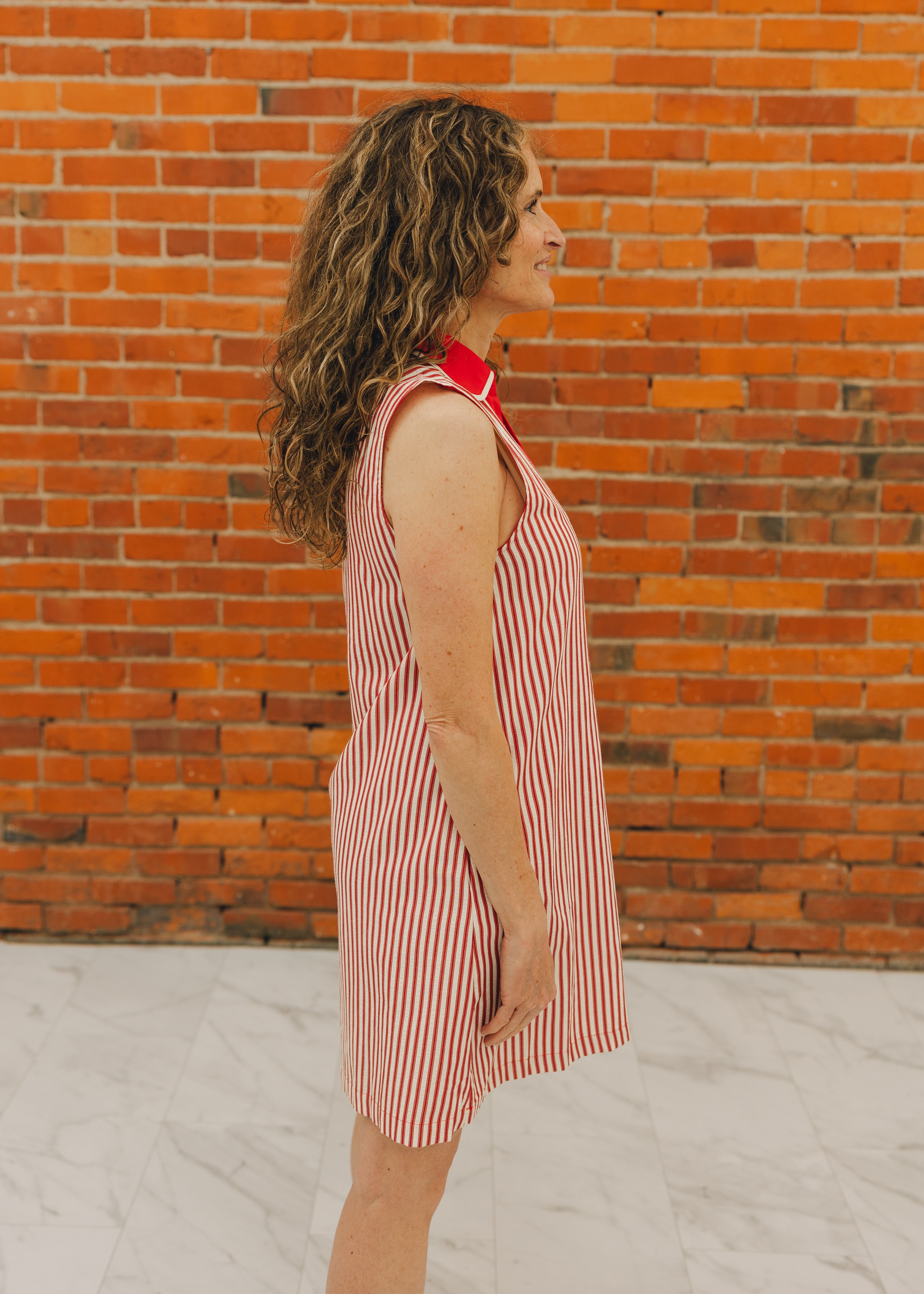 Collared Neckline Striped Woven Dress