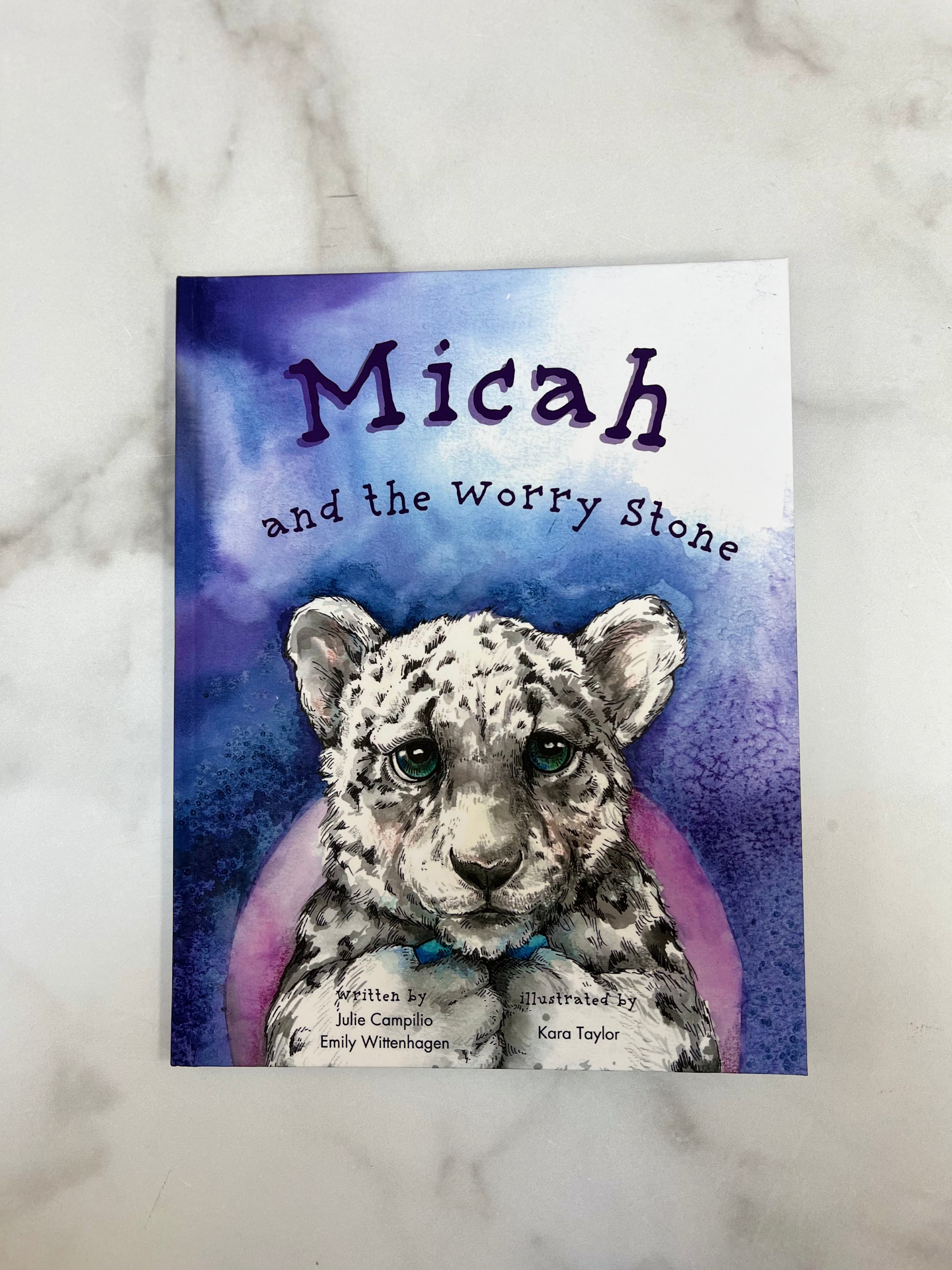 Micah and The Worry Stone