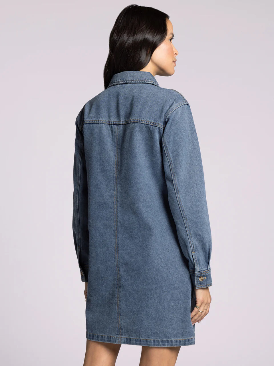 Thread & Supply Ivanna Dress